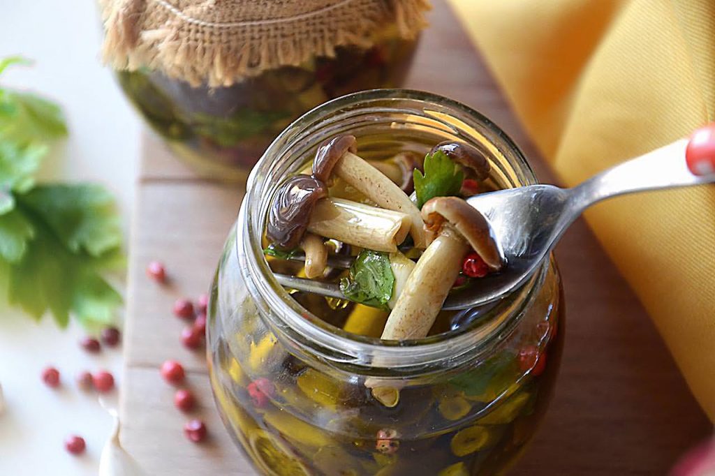 funghi sott olio 1
